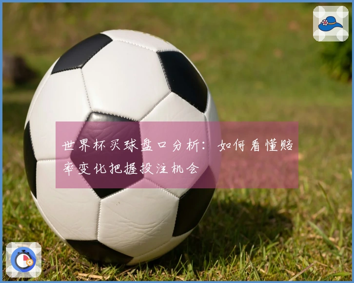 世界杯买球盘口分析：如何看懂赔率变化把握投注机会