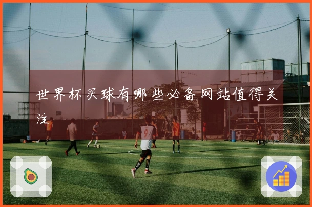 世界杯买球有哪些必备网站值得关注