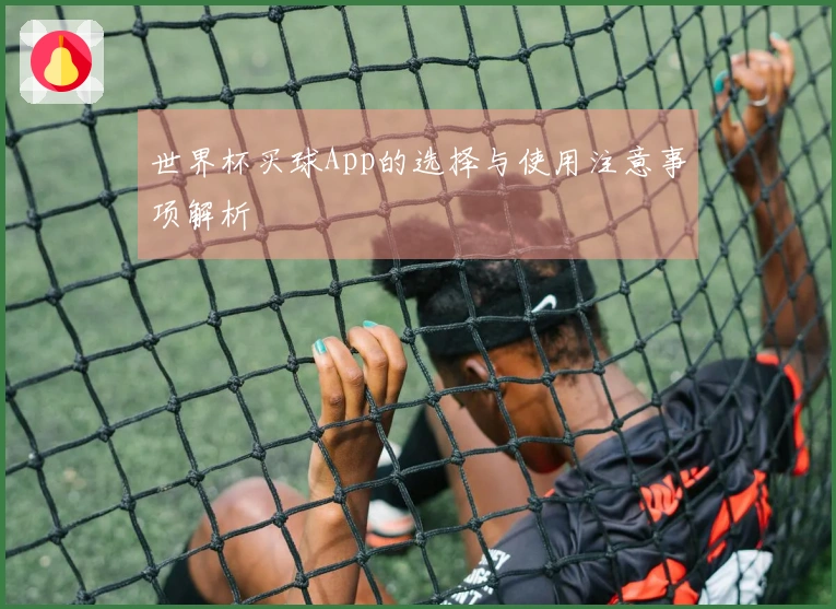 世界杯买球App的选择与使用注意事项解析