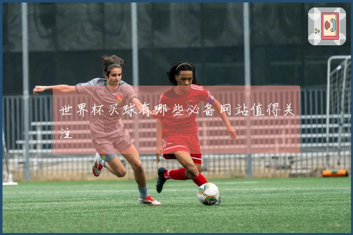 世界杯买球有哪些必备网站值得关注