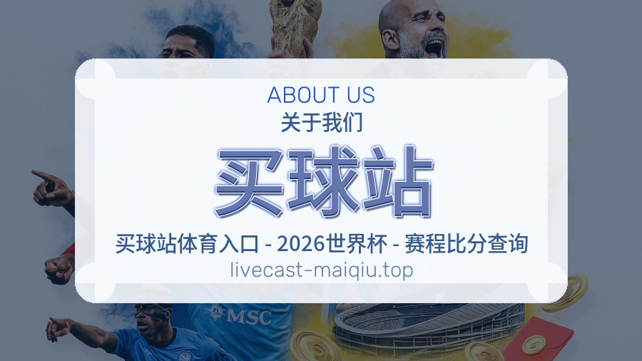 关于 买球站 团队与服务